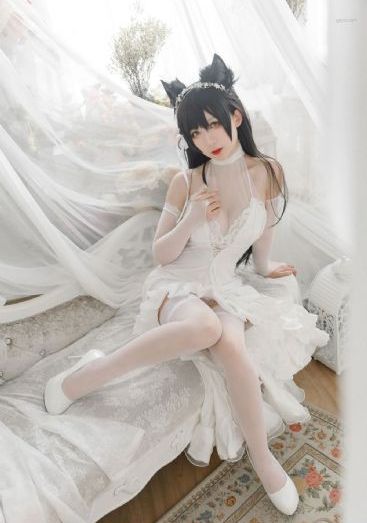 一级毛片无码视频在线_免费完整版高清