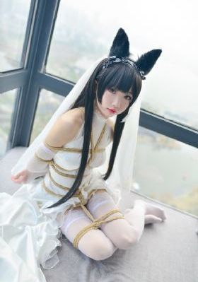 荒野求生第一季_DVD高清免费观看